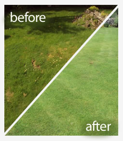 Lawn aeration treatment in Reading