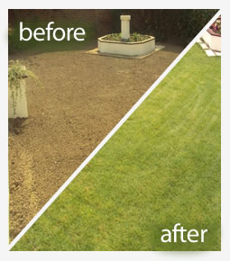 Herbicide lawn treatment in Reading